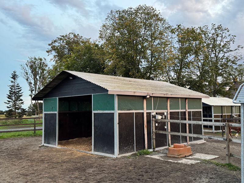 Leskur, liggehall, løsdrift til hest (Contryhus)
