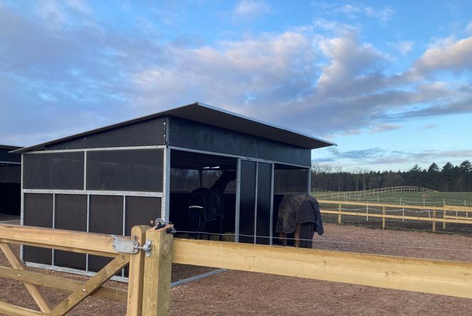 Hovedbilde Leskur til Hest