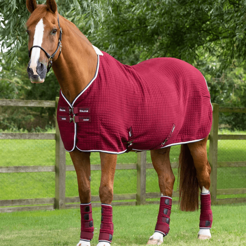 Premier Equine Premtex Coolerdekken