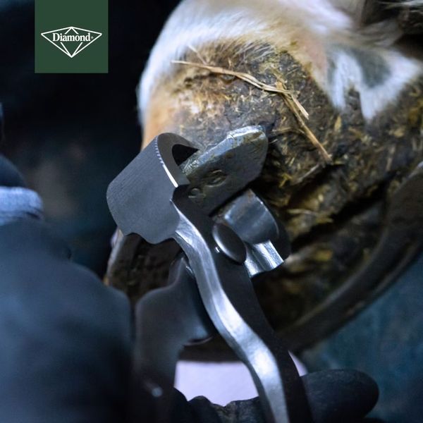 Hovedbilde Brekktang Diamond SP