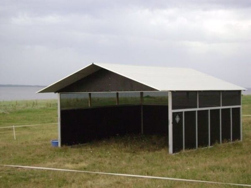 Leskur, liggehall, løsdrift til hest (Contryhus)