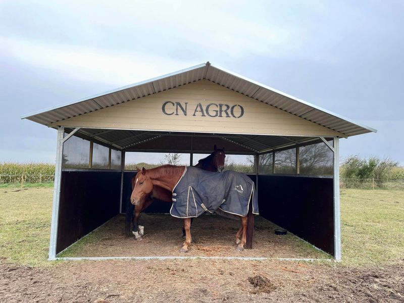 Leskur, liggehall, løsdrift til hest (Contryhus)
