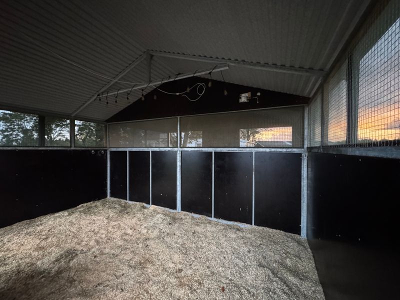 Leskur, liggehall, løsdrift til hest (Contryhus)