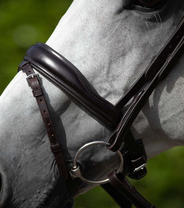Hovedbilde Blue Sweet Iron Loose Ring Mullen Mouth Snaffle