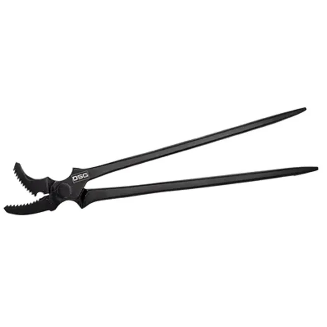 Hovedbilde DSG Nittang JAW